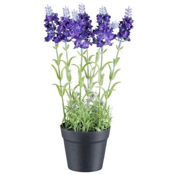 Artificial flower Lavender KLUSTOR in decorative pot, purple, 11"/29cm