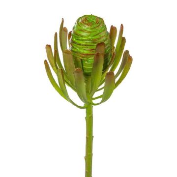 Artificial silver tree flower GROVEN, green, 50cm