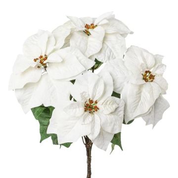 Velvet poinsettia DRENMA, white, 26"/65cm