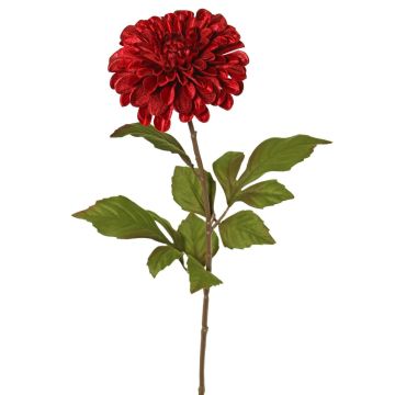 Velvet dahlia TINFAS, dark red, 24"/60cm, Ø5.1"/13cm