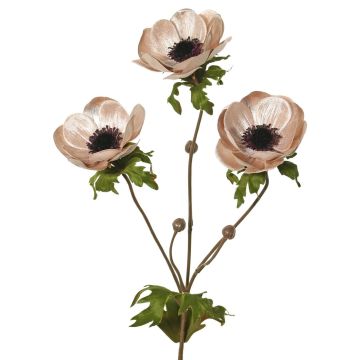 Velvet anemone branch WINFAS, pale pink, 75cm, Ø9–11cm