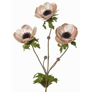 Velvet anemone branch WINFAS, pale pink, 30"/75cm, Ø3.5"-4.3"/9-11cm Velvet anemone branch WINFAS, pale pink, 30"/75cm, Ø3.5"-4.3"/9-11cm