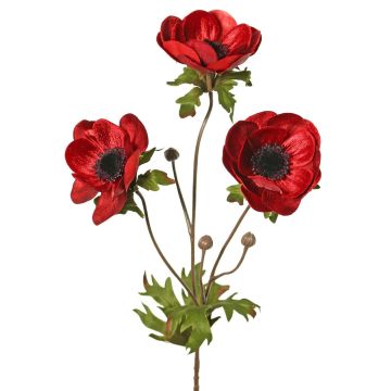 Velvet anemone branch WINFAS, dark red, 75cm, Ø9–11cm