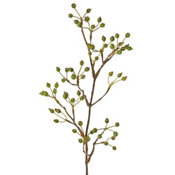 Decorative wild rose branch HIKERNO with rose hips, green, 24"/60cm Decorative wild rose branch HIKERNO with rose hips, green, 24"/60cm
