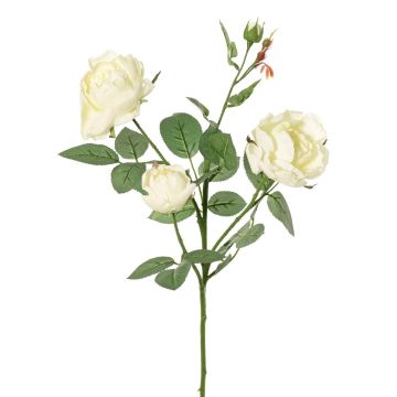Artificial rose branch DIAMANTIS, cream, 70 cm, Ø 5–8 cm