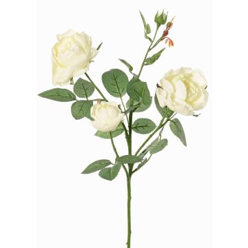 Artificial rose branch DIAMANTIS, cream, 28"/70cm, Ø2"-3.1"/5-8cm Artificial rose branch DIAMANTIS, cream, 28"/70cm, Ø2"-3.1"/5-8cm