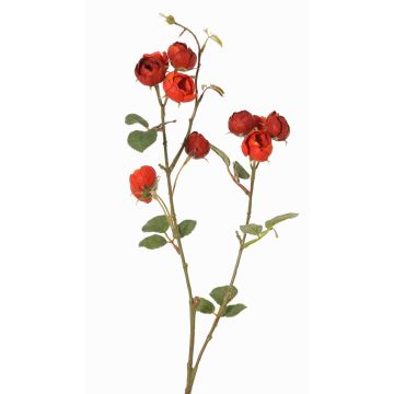 Artificial cabbage rose branch LORRAINE, Eco Collection, red-orange, 24"/60cm, Ø1.2"/3cm Artificial cabbage rose branch LORRAINE, Eco Collection, red-orange, 24"/60cm, Ø1.2"/3cm