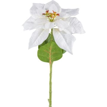 Artificial flower Poinsettia JORTI, white, 24"/60cm