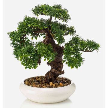 Artificial bonsai ficus MIRSANDA in bonsai bowl, 14"/35cm Artificial bonsai ficus MIRSANDA in bonsai bowl, 14"/35cm