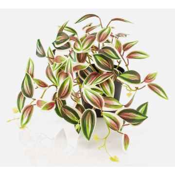 Artificial Tradescantia zebrina 'DIHALLO' in decorative pot, green and red, 7.5"/19cm