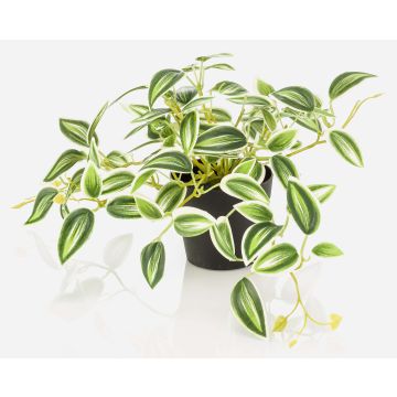 Artificial Tradescantia zebrina 'DIHALLO' in a decorative pot, green-white, 7.5"/19cm