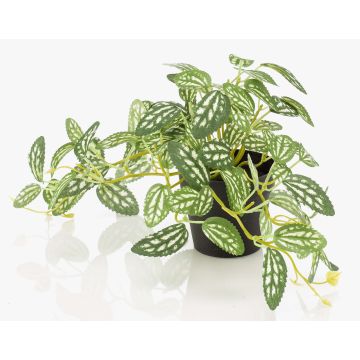 Artificial dwarf pepper plant MIHALLA in decorative pot, green-white, 7.5"/19cm Artificial dwarf pepper plant MIHALLA in decorative pot, green-white, 7.5"/19cm