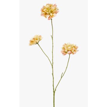 Decorative scabiosa branch DIHALLY, yellow-peach, 31"/80cm, Ø3.1"-3.5"/8-9cm Decorative scabiosa branch DIHALLY, yellow-peach, 31"/80cm, Ø3.1"-3.5"/8-9cm