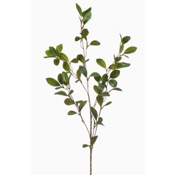 Decorative Lovris spindle tree branch with flowers, green-yellow, 90 cm