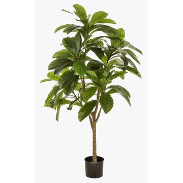 Artificial frangipani tree MORSHA, artificial trunk, green, 5ft/145cm Artificial frangipani tree MORSHA, artificial trunk, green, 5ft/145cm