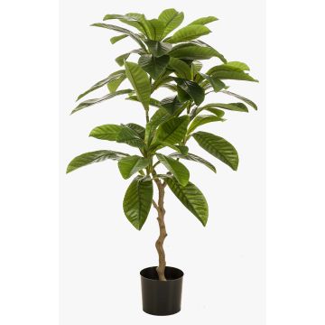 Artificial frangipani tree MORSHA, artificial trunk, green, 4ft/110cm Artificial frangipani tree MORSHA, artificial trunk, green, 4ft/110cm