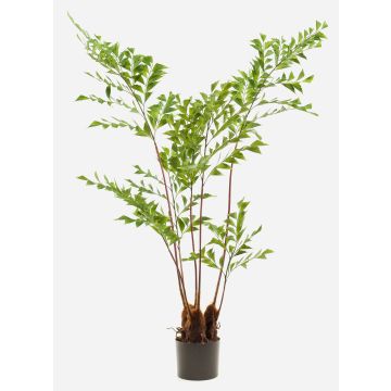 Plastic fish-tail palm JENKFAN, green, 5ft/140cm Plastic fish-tail palm JENKFAN, green, 5ft/140cm