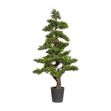 Artificial teaplant bonsai WAUSAU in decorative pot, 5ft/160cm Artificial teaplant bonsai WAUSAU in decorative pot, 5ft/160cm