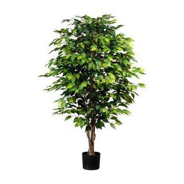 Artificial tree Ficus benjamina ARNOMO, natural stems, 5ft/150cm