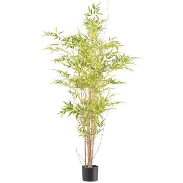 Artificial tree Japanese arrow bamboo EDENA, natural stems, 5ft/150cm