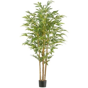 Artificial tree Japanese arrow bamboo IRTWA, natural stems, crossdoor, 6ft/180cm