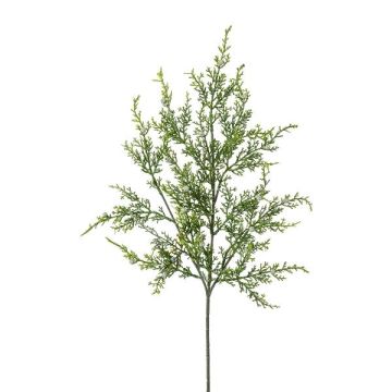 Decorative branch Juniper TRALVE, green, 24"/60cm Decorative branch Juniper TRALVE, green, 24"/60cm