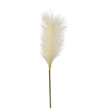Artificial pampas grass panicle QUAVI, cream, 3ft/100cm