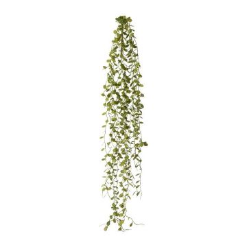 Artificial hanging plant Mühlenbeckia ZEHANL, stake, green, 70cm