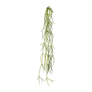Artificial succulent Rhipsalis WUNKE, spike, hanging, green, 24"/60cm Artificial succulent Rhipsalis WUNKE, spike, hanging, green, 24"/60cm
