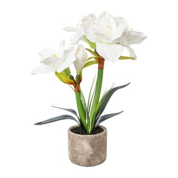 Artificial flower arrangement: Amaryllis OWELRA with grass, cement pot, white, 16"/40cm Artificial flower arrangement: Amaryllis OWELRA with grass, cement pot, white, 16"/40cm