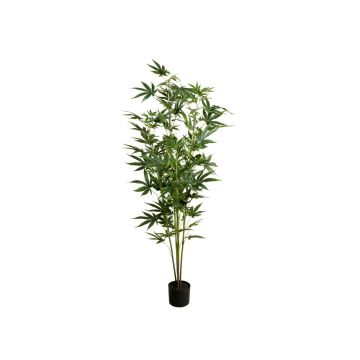 Artificial hemp plant ZOJA, green, 5ft/150cm Artificial hemp plant ZOJA, green, 5ft/150cm