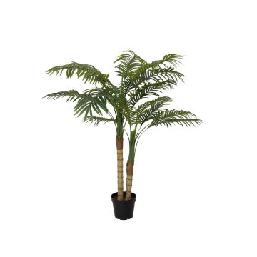 False Dypsis lutescens CATHERINE, 4ft/120cm False Dypsis lutescens CATHERINE, 4ft/120cm