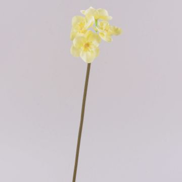 SEPUNY artificial daffodil, cream-yellow, 40cm, Ø6cm