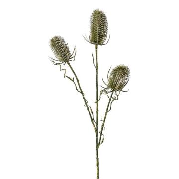 Artificial flower branch Wild teasel BLOVEN, green, 24"/60cm