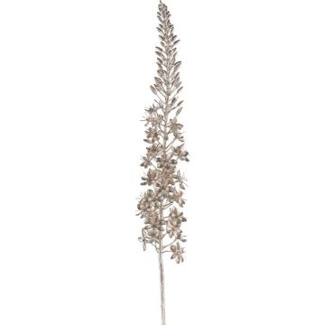 Decorative flower Eremurus EISOP, champagne, 3ft/105cm Decorative flower Eremurus EISOP, champagne, 3ft/105cm