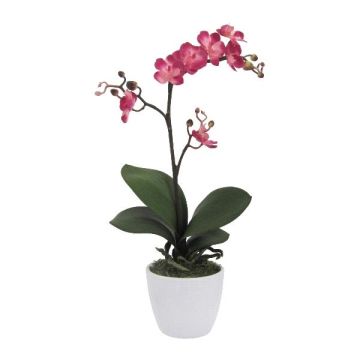 Decorative flower Phalaenopsis orchid CRILBOR, ceramic pot, roots, cerise, 22"/55cm