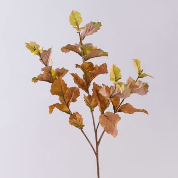 Artificial beech branch DURSIK, green-violet, 24"/60cm Artificial beech branch DURSIK, green-violet, 24"/60cm