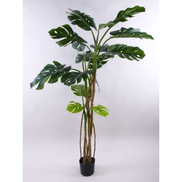 Artificial Philodendron Monstera Deliciosa CUNKYN in decorative pot, 6ft/180cm Artificial Philodendron Monstera Deliciosa CUNKYN in decorative pot, 6ft/180cm