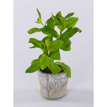 Artificial basil plant POLINDA in decorative pot, green, 10"/26cm Artificial basil plant POLINDA in decorative pot, green, 10"/26cm