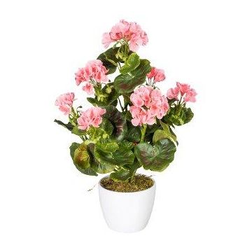 Decorative flower Geranium DOLKREN, ceramic pot, crossdoor, pink, 16"/40cm Decorative flower Geranium DOLKREN, ceramic pot, crossdoor, pink, 16"/40cm
