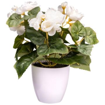 Artificial flower Begonia SYLINA, white decorative pot, cream, 10"/25cm Artificial flower Begonia SYLINA, white decorative pot, cream, 10"/25cm