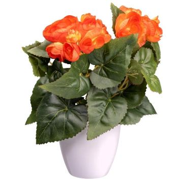 Artificial flower Begonia SYLINA, white decorative pot, orange, 10"/25cm Artificial flower Begonia SYLINA, white decorative pot, orange, 10"/25cm