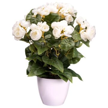 Artificial flower Begonia SYLINA, white decorative pot, cream, 14"/35cm Artificial flower Begonia SYLINA, white decorative pot, cream, 14"/35cm