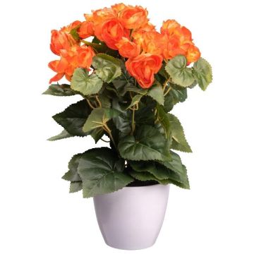 Artificial flower Begonia SYLINA, white decorative pot, orange, 14"/35cm Artificial flower Begonia SYLINA, white decorative pot, orange, 14"/35cm