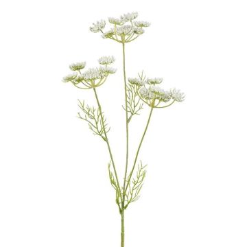 Artificial wild carrot branch KRAHEN, white, 50cm