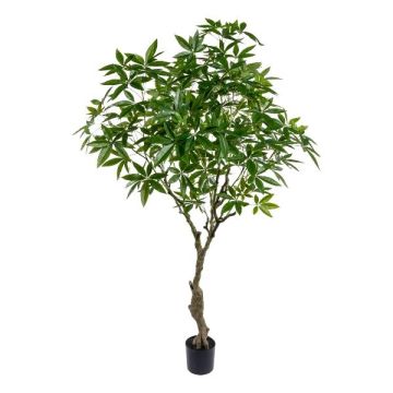 Artificial Pachira tree MUMBY, artificial trunk, 7ft/220cm Artificial Pachira tree MUMBY, artificial trunk, 7ft/220cm