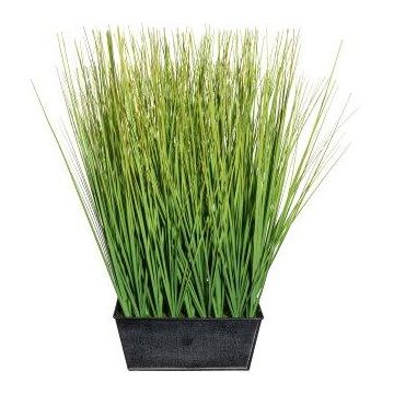 Decorative grass Fountain grass LOPIMA in zinc planter, green, 18"/45cm