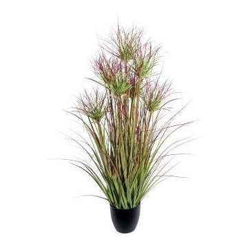 Decorative grass Cyperus papyrus DARSA in decorative pot, green-red, 3ft/95cm
