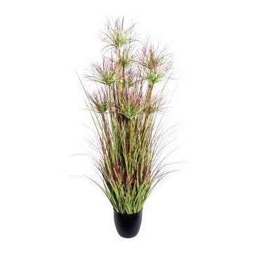 Decorative grass Cyperus papyrus DARSA in decorative pot, green-red, 4ft/125cm