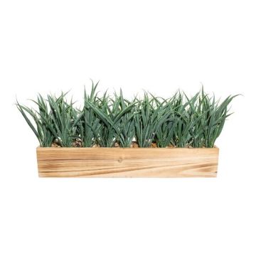 Decorative grass Reed WENMAL in wooden box, green, 20"x4"x9"/52x10x23cm